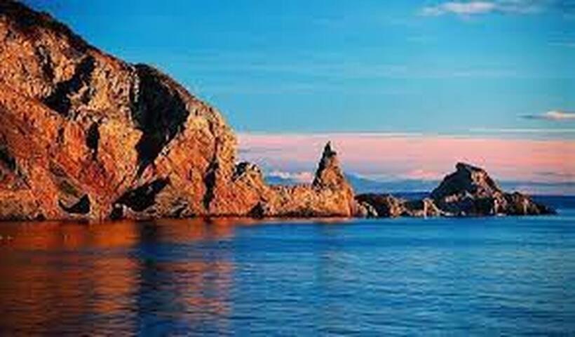 Halekulani Devon Homestay Торкі Екстер'єр фото